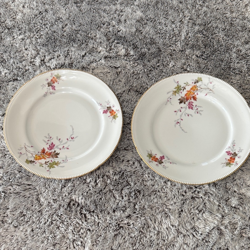 Winterling Bovaria Germany Autumn Leaves Set of‎ 2 10.5" Dinner Plates Gold Trim